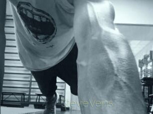 StevieVeins