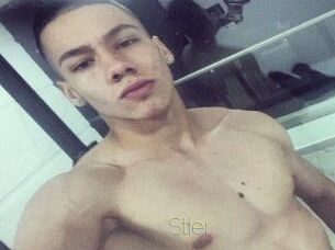 Stier