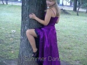 Summer_Dandelion