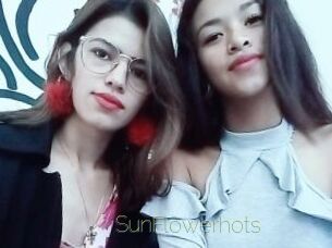 SunFlowerhots