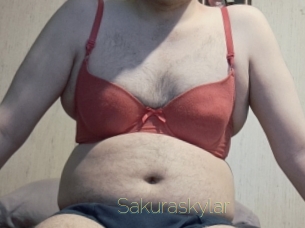 sakuraskylar Visio Tchats