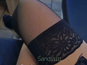 Sandy1111