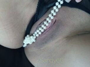 Sandy66