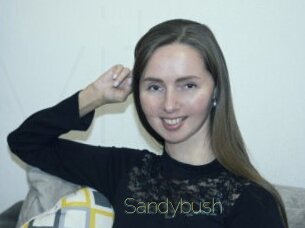 Sandybush