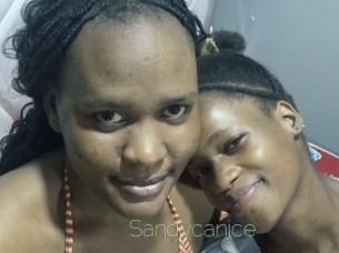 Sandycanice