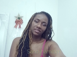 sandyhamilton Visio Tchats