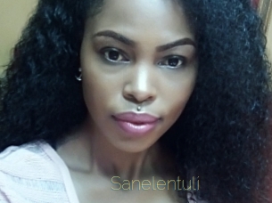 Sanelentuli