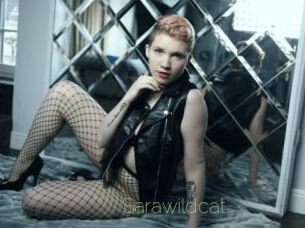 Sarawildcat