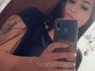 Scarlethrush