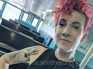 Scarletthairring