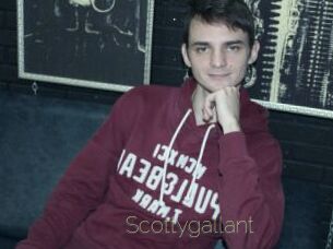 Scottygallant