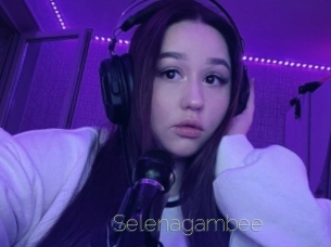 Selenagambee