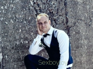 Sexboytoy