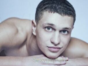 Sexygayhard