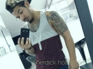 Sherdick_holes
