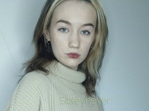 sibleyheyer Visio Tchats