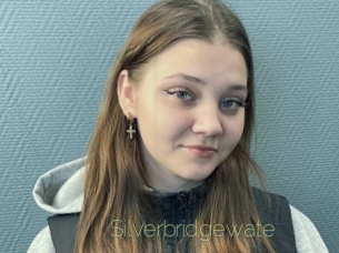 Silverbridgewate