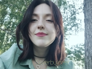Silverbulmer