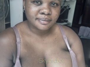 Skybirdxx