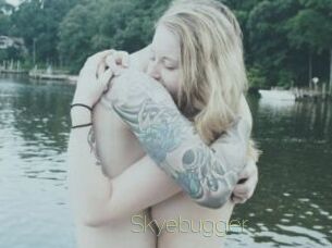 Skyebugger