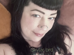 Skylar_bird