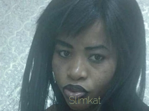 slimkat Visio Tchats