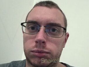 Snakefl