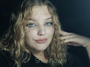 snowflower Visio Tchats