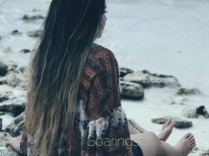 Soaringsar