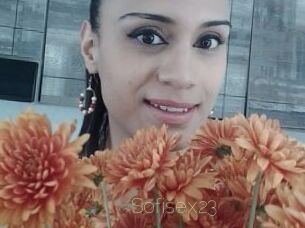 sofisex23 Visio Tchats
