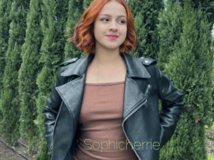 Sophicherrie
