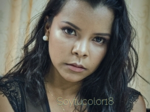 Soytucolor18
