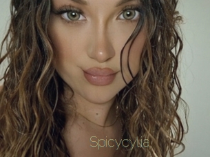 Spicycylia