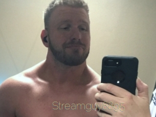 Streamguy8895