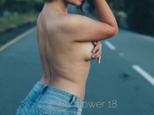 Sunflower_18