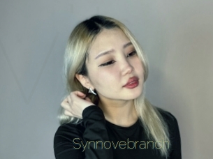 Synnovebranch