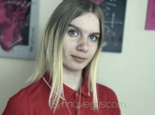 Synnovegriscom
