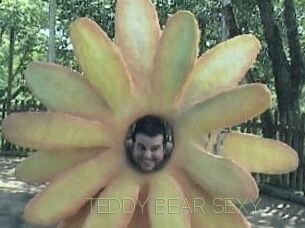 TEDDY_BEAR_SEXY