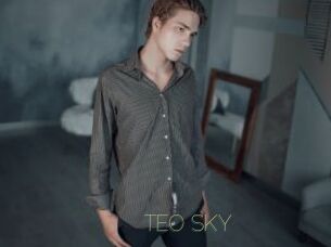 TEO_SKY