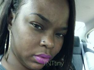 T_N_Ttiny