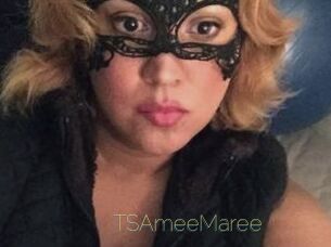 TSAmeeMaree
