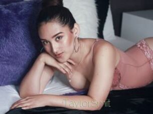 TaylorSmit Visio Tchats