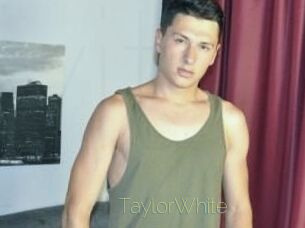 TaylorWhite Visio Tchats