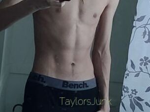 TaylorsJunk