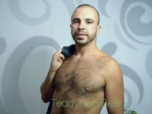 TeddyHairyBear Visio Tchats