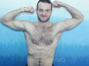 TeddyHard Visio Tchats