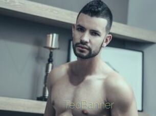 TeoBanner
