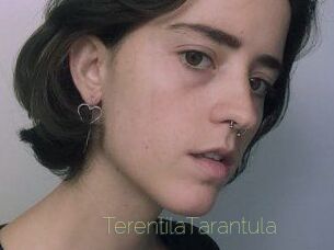 TerentilaTarantula