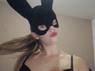 Tesscam