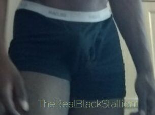 TheRealBlackStallion1